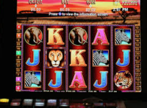 pg国际2024最新版